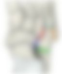 会員限定の図