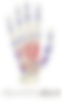 会員限定の図
