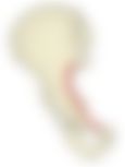 会員限定の図