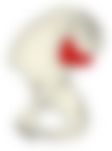 会員限定の図
