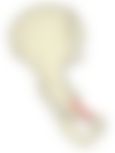 会員限定の図