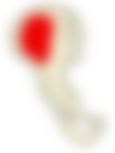 会員限定の図