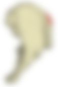 会員限定の図