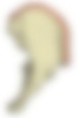 会員限定の図
