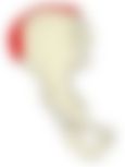 会員限定の図