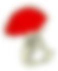会員限定の図