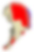 会員限定の図