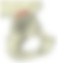 会員限定の図