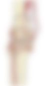 会員限定の図