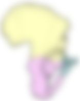 会員限定の図