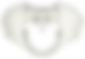 会員限定の図