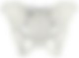 会員限定の図