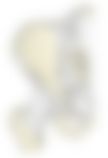 会員限定の図
