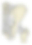 会員限定の図