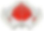 会員限定の図