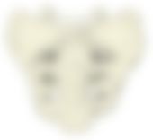 会員限定の図