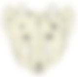 会員限定の図