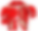 会員限定の図