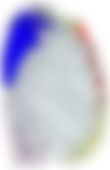 会員限定の図