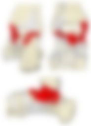 会員限定の図