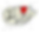会員限定の図