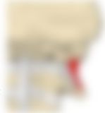 会員限定の図
