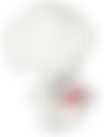 会員限定の図