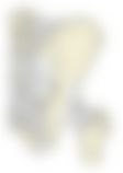 会員限定の図
