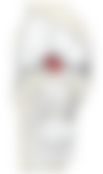 会員限定の図