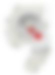 会員限定の図