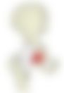 会員限定の図