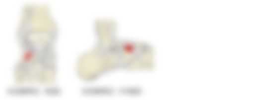 会員限定の図