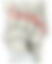会員限定の図