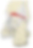 会員限定の図