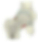 会員限定の図