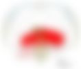 会員限定の図
