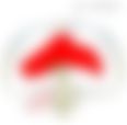 会員限定の図