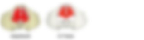 会員限定の図