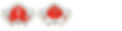会員限定の図