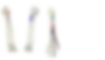 会員限定の図