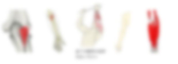会員限定の図