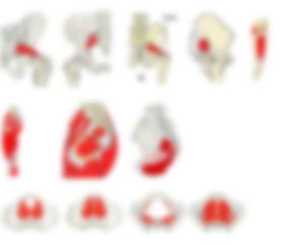 会員限定の図