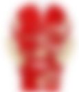 会員限定の図