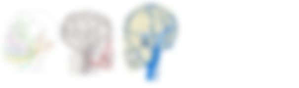 会員限定の図