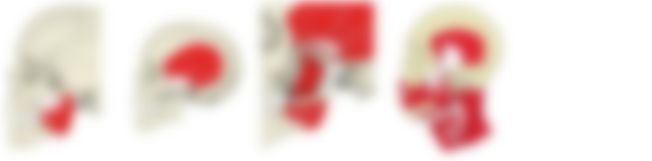 会員限定の図