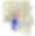会員限定の図