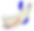 会員限定の図