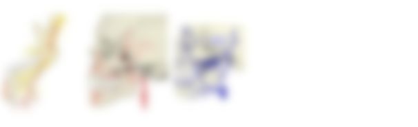 会員限定の図