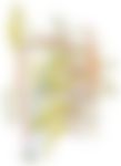 会員限定の図