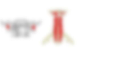 会員限定の図